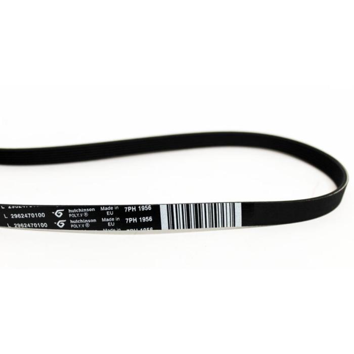 Kurutma Makinesi Kayış 7 Ph 1956